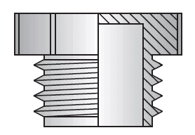 2" THREADED PLASTIC PLUG FOR FBSPP